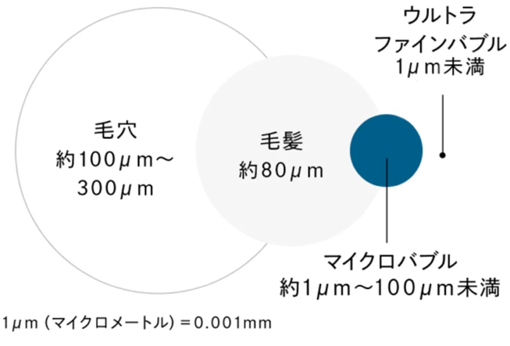 2つの泡の大きさ