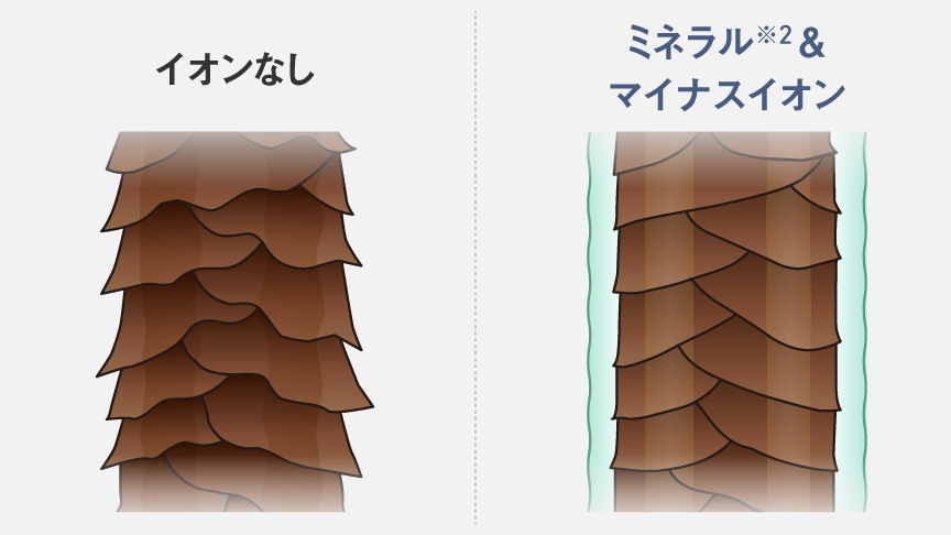 キューティクル
