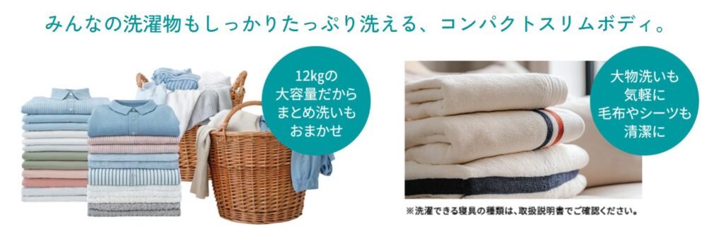 Hisense ドラム式洗濯乾燥機 HWF-D120XL-W 大容量